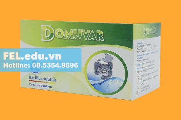 Domuvar
