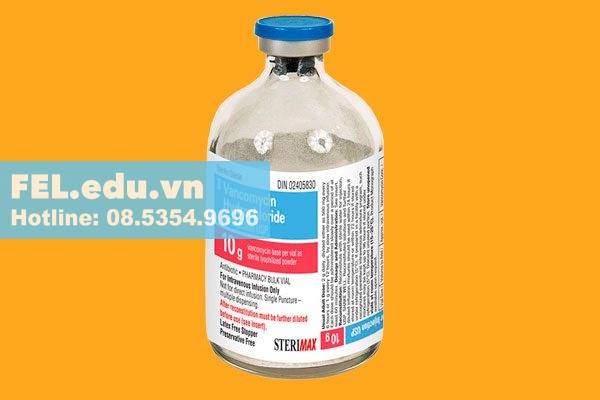 Vancomycin Lọ 10 g