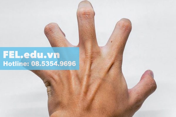 Quá liều thuốc Fabamox 500 và cách xử lý