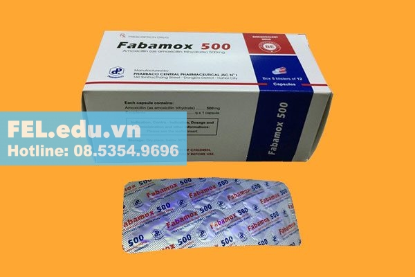 Thuốc Fabamox 500 là thuốc gì?