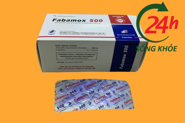 Thuốc Fabamox 500 là thuốc gì?