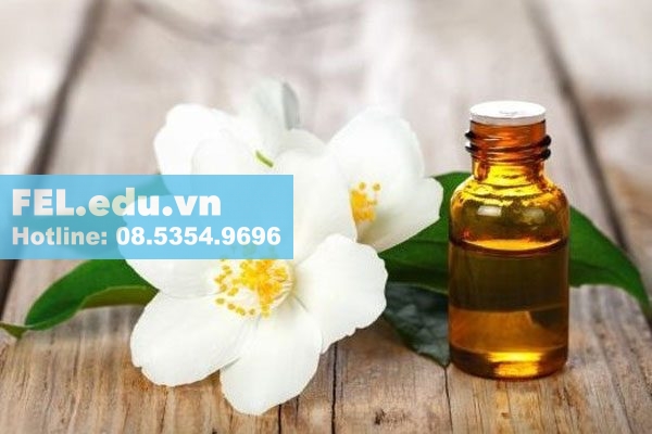 Tinh dầu hoa nhài: Tác dụng, cách làm, dùng trong thực phẩm như nào?