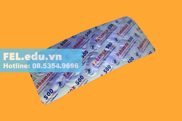 Thuốc Fabamox 500 có tác dụng gì?