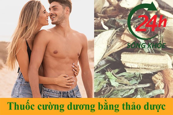 Top các thuốc cường dương thảo dược tốt nhất hiện nay