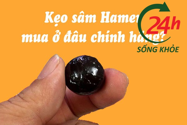 Kẹo sâm Hamer bán ở đâu chính hãng