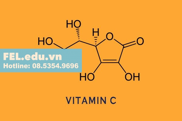 Tác dụng của thuốc Venrutine