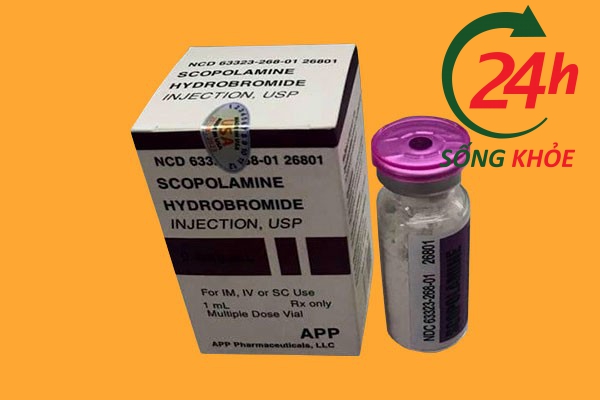Thuốc ngủ dạng bột Scopolamine