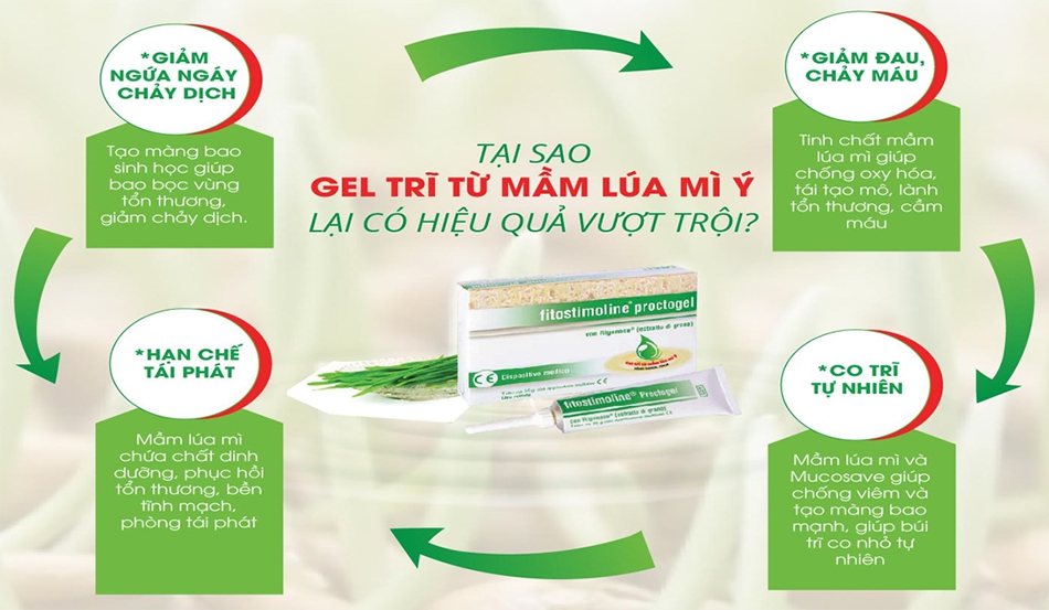 Gel trĩ từ mầm lúa mì Ý F.Proctogel tác động toàn diện đến bệnh trĩ theo 4 cơ chế