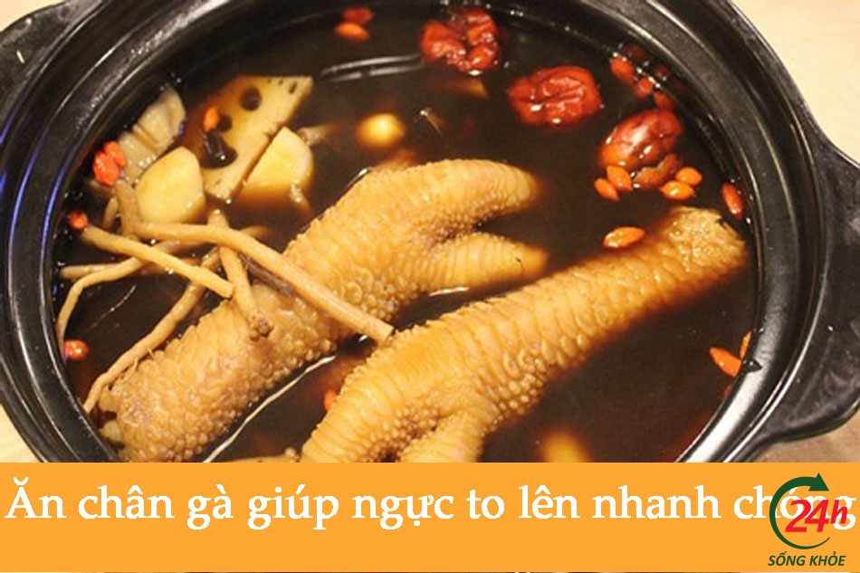 Ăn chân gà giúp ngực to lên nhanh chóng