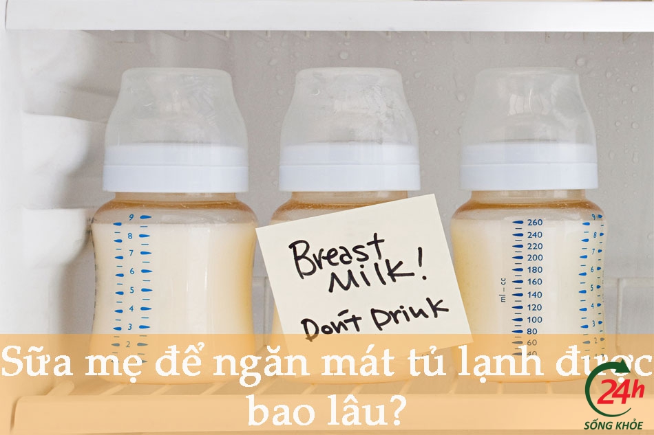 Sữa mẹ để ngăn mát tủ lạnh được bao lâu?