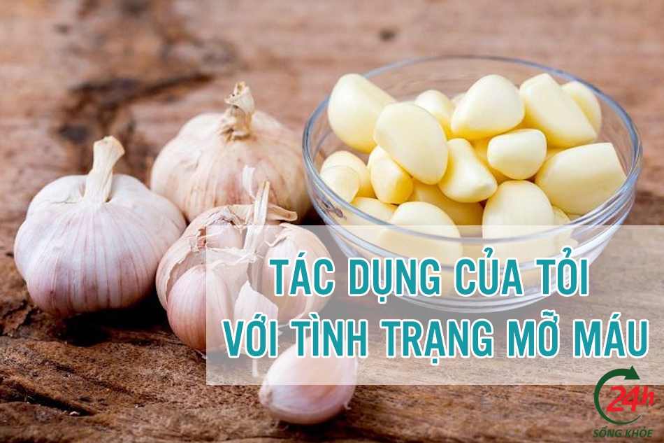 Tác dụng của tỏi với chữa máu nhiễm mỡ 