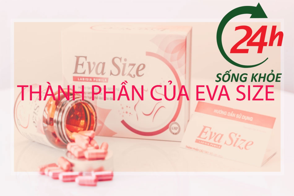 Thành phần của Eva Size