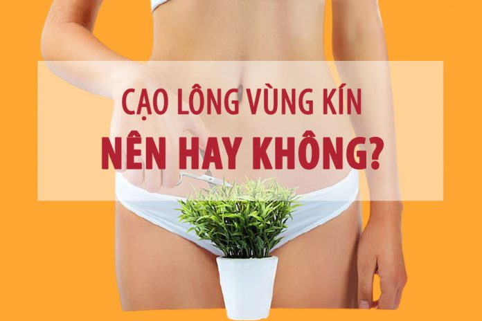Có nên cạo lông vùng kín không?