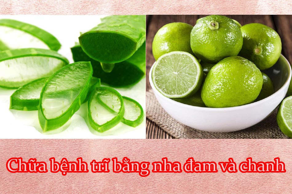 Chữa bệnh trĩ bằng nha đam và chanh