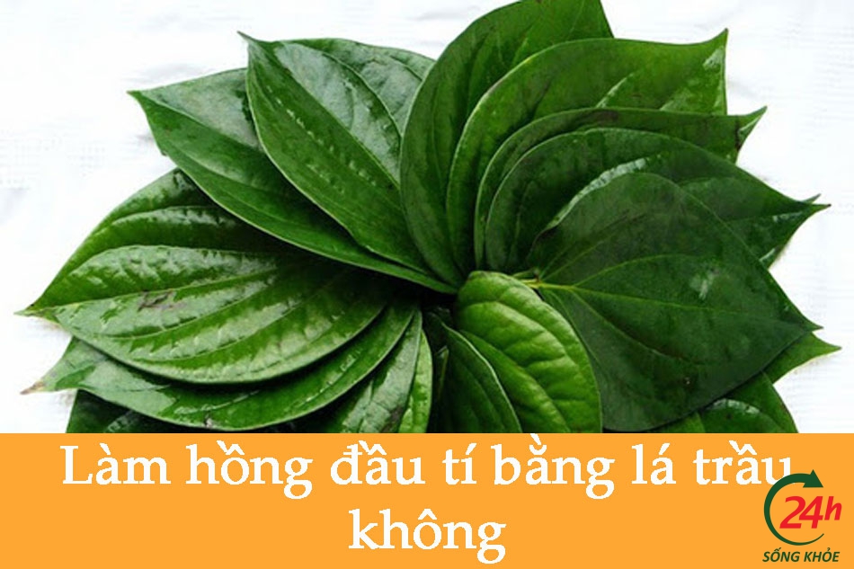 Cách làm hồng nhũ hoa tại nhà