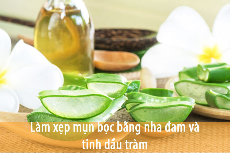 Làm xẹp mụn bọc bằng nha đam và tinh dầu tràm