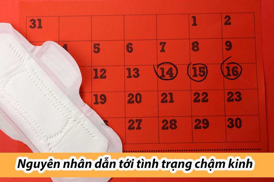 Nguyên nhân dẫn tới tình trạng chậm kinh
