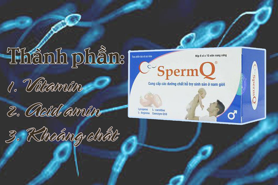 Thuốc SpermQ chứa các thành phần như vitamin, acid amin và khoáng chất