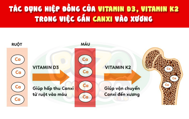 Vai trò của việc bổ sung Vitamin D3 và K2 tăng chiều cao cho bé