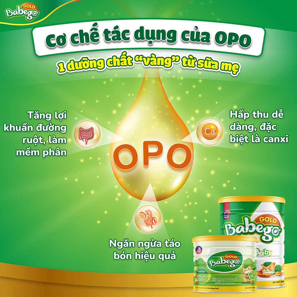 Cơ chế tác dụng của OPO trong sữa Babego Gold 