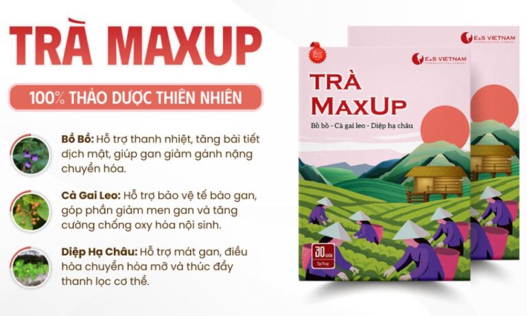Trà MaxUp - Giải pháp hỗ trợ mát gan giải độc, thanh lọc cơ thể từ thảo dược