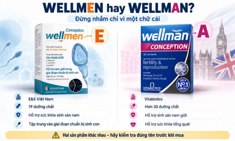 Wellmen Conception