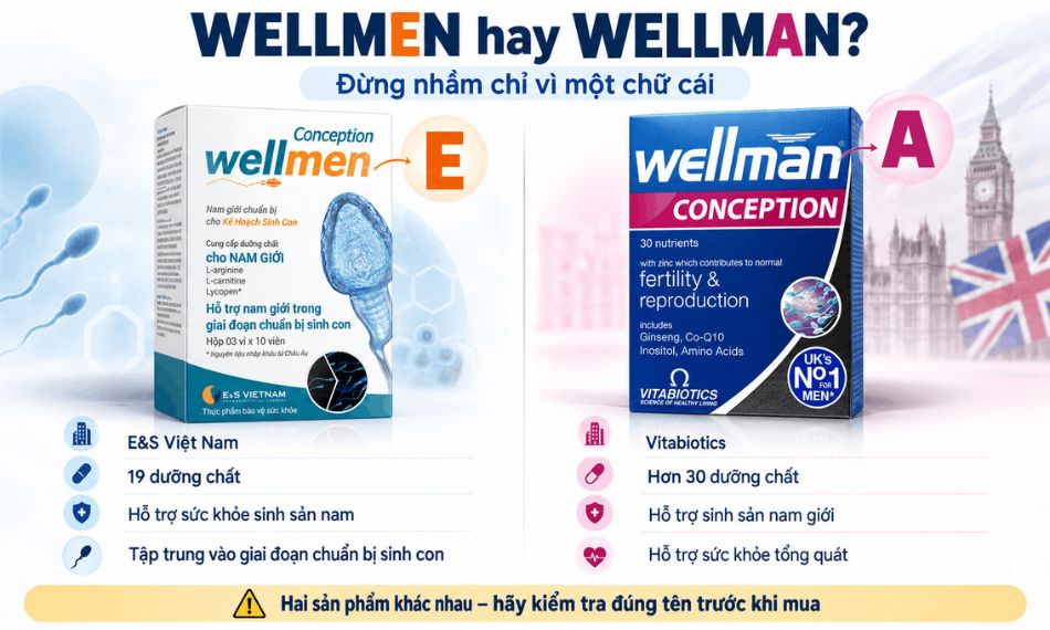 Wellmen Conception